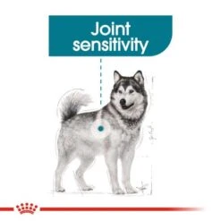 Royal Canin Maxi Joint Care 16 Royal Canin Maxi Joint Care -Trixie Dog Supply Sale rc ccn jointcaremaxi cv eretailkit 2 7