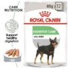 Royal Canin Digestive Care Mousse -Trixie Dog Supply Sale rc ccn wet digestive mv eretailkit 8