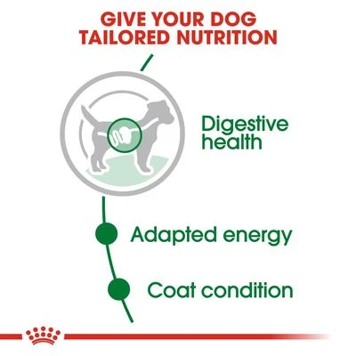 Royal Canin Mini Adult In Gravy 8 Royal Canin Mini Adult In Gravy - Image 6