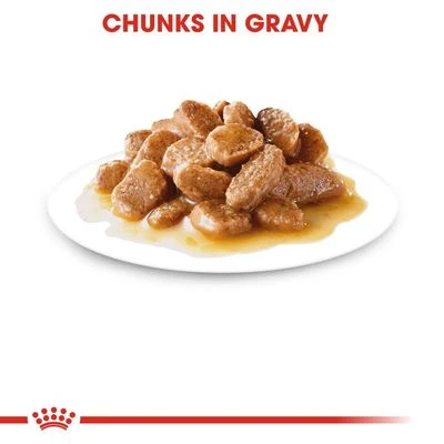 Royal Canin Mini Adult In Gravy 6 Royal Canin Mini Adult In Gravy - Image 4