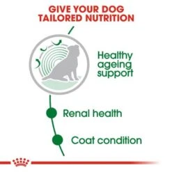 Royal Canin Mini Ageing 12+ In Gravy -Trixie Dog Supply Sale rc shn wet miniageing cv eretailkit 2 6