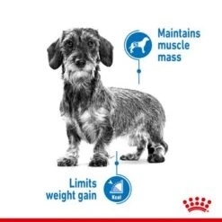 Royal Canin Mini Light Weight Care -Trixie Dog Supply Sale rc spt dry lightweightmini page 3 7