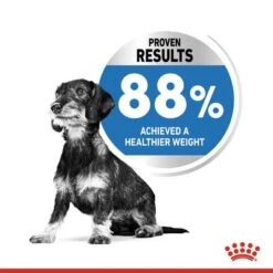 Royal Canin Mini Light Weight Care -Trixie Dog Supply Sale rc spt dry lightweightmini page 4 jpg 9