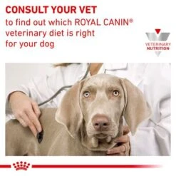 Royal Canin Veterinary Dog – Gastrointestinal Fibre Response -Trixie Dog Supply Sale rc vet dry doggastrohf eretailkit b1 page 8 5