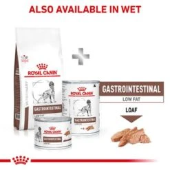 Royal Canin Veterinary Dog - Gastrointestinal Low Fat -Trixie Dog Supply Sale rc vet dry doggastrolf eretailkit b1 page 8 4