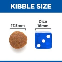 Hill's Science Plan Hill’s Science Plan Adult 1-5 No Grain Large With Chicken 12 Hill's Science Plan Hill’s Science Plan Adult 1-5 No Grain Large With Chicken -Trixie Dog Supply Sale sp no grain dog adult large chicken kibble size 7