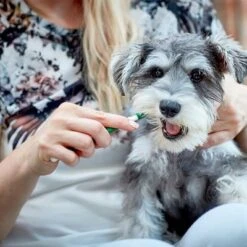 Vet's Best® Dental Care Set For Dogs -Trixie Dog Supply Sale v317310 vetsbest dentalcare kit hs 09 3