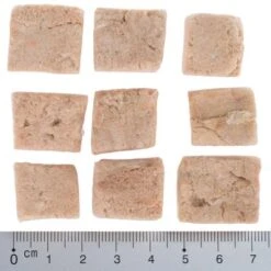 Wolf Of Wilderness RAW Freeze-dried Snacks -Trixie Dog Supply Sale wow fd snack blue river cubes with ruler 4