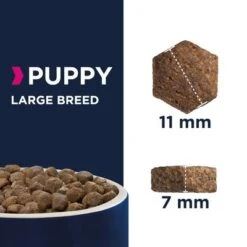 Eukanuba Puppy Large Breed Chicken -Trixie Dog Supply Sale xxxx puppy largebreed kibble 5