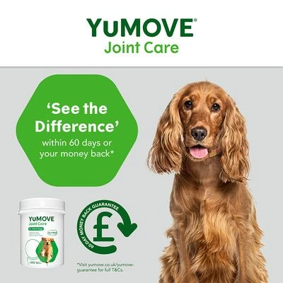 YuMOVE Joint Care For Adult Dogs 8 YuMOVE Joint Care For Adult Dogs - Image 6