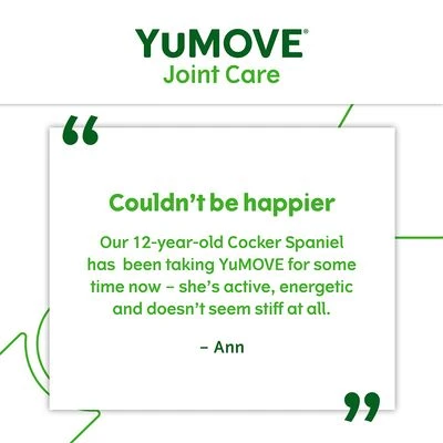 YuMOVE Joint Care For Senior Dogs 8 YuMOVE Joint Care For Senior Dogs - Image 6