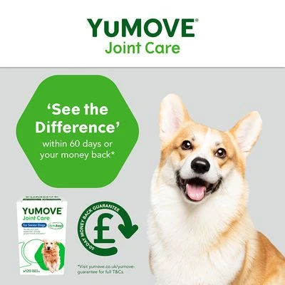 YuMOVE Joint Care For Senior Dogs 9 YuMOVE Joint Care For Senior Dogs - Image 7